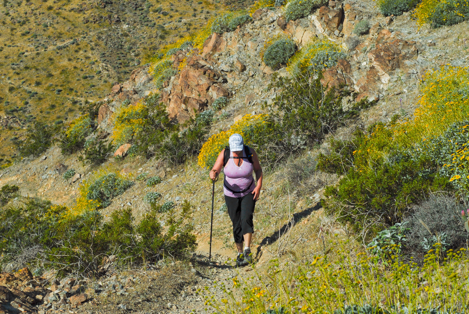 21Garsten Trail 2010